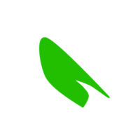 icône de feuille verte png