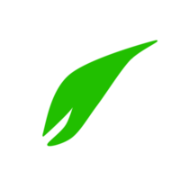 ícone de folha verde png