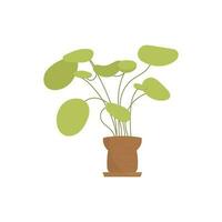 Plant in a flowerpot for the office. Isolated. Flat style. vector