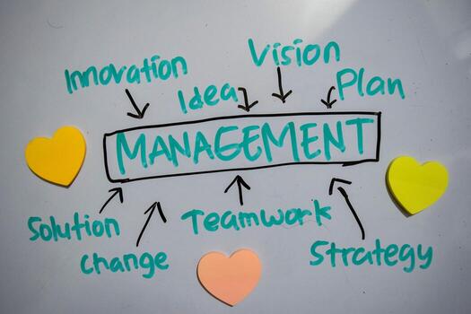 Management text with keywords isolated on white board background. Chart or mechanism concept. photo