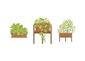 Set of home green plants in pots. Isolated. Flat style. vector