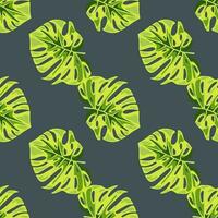 Monstera leaves seamless pattern. Exotic jungle plants endless wallpaper. Leaf background. Hawaiian rainforest floral backdrop. vector