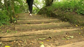 Close up of the feet of a woman seen from behind climbing a log staircase in the middle of a natural park surrounded by trees during the day video