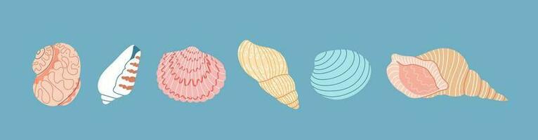 Set of colorful sea shell on a blue background. Hand drawn vector illustration. Flat cartoon style. Summer vacation collection, tropical beach shells.