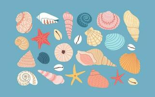 Set of various sea shells and starfish on blue background. Hand drawn colorful vector illustration. Flat cartoon style. Summer vacation collection, tropical beach shells.