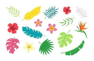 Collection of exotic bright and fun tropical leaves and flowers. Banana palm, plumeria, hibiscus, paradise bird, monstera. Vector summer elements.