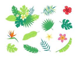 Tropical flowers, palm leaves, jungle leaves, bird of paradise flower, hibiscus, plumeria. Vector flat exotic illustrations, Hawaiian bouquet for greeting card, wedding, poster.