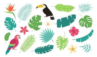 conjunto de tropical elementos. tucán, guacamayo, palma hojas, plátano hoja, plumería, hibisco, pájaro de paraíso . vector plano dibujos animados ilustración.