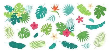 conjunto de tropical hojas y exótico flor. palmera, plátano hoja, hibisco, plumeria flores, pájaro de paraíso. ramos de flores con tropical flores vector plano dibujos animados ilustración.