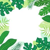 Summer frame made of tropical leaves. Background of tropical palm leaves, monsters isolated on a white background. Illustration for the design of wedding invitations, greeting cards, postcards. vector