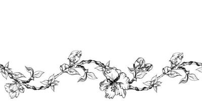 Hand drawn ink apple flowers, branches and leaves, monochrome vector, detailed outline Seamless horizontal banner Isolated on white background Design for wall art, wedding, print, fabric, cover, card. vector