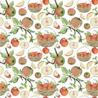 Hand drawn watercolor apple fruits in basket, ripe, full and slices red and green. Seamless pattern. Isolated object on white background. Design for wall art, wedding, print, fabric, cover, card. vector