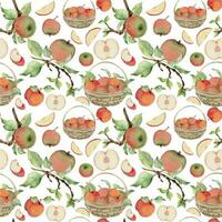 Hand drawn watercolor apple fruits in basket, ripe, full and slices red and green. Seamless pattern. Isolated object on white background. Design for wall art, wedding, print, fabric, cover, card. vector