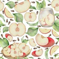 Hand drawn watercolor apple fruits, ripe, full and slices red and green with leaves. Seamless pattern. Isolated object on white background. Design for wall art, wedding, print, fabric, cover, card. vector