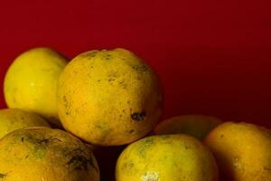 Fresh orange fruit in the red background photo