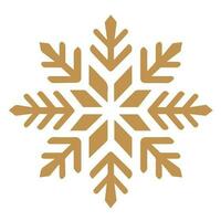 Isolated snowflake vector icon winter decorate ornament