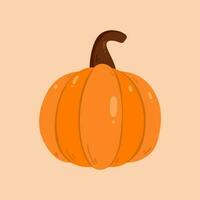 pumpkin hand drawn vector illustration