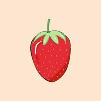 strawberry hand drawn vector illustration