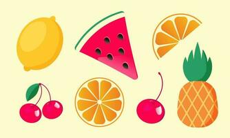 Set of color summer fruits. Vector illustration