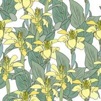 Seamless pattern with yellow canna lily on white background vector