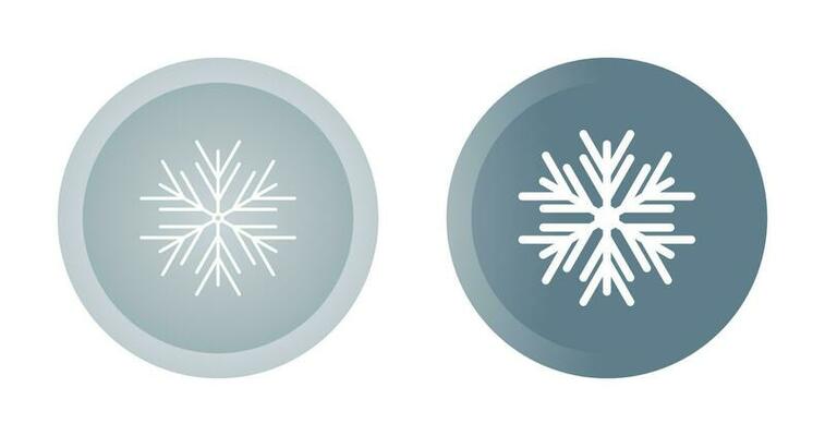 Snowflake Vector Icon