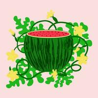 watermelon in flowers on leaves. A red watermelon plant isolated on white background. vector