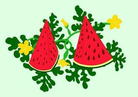 Triangular Watermelon and juicy slices, green leaves and yellow watermelon flower vector illustration in flat design. Summer food concept illustration isolated on white background.