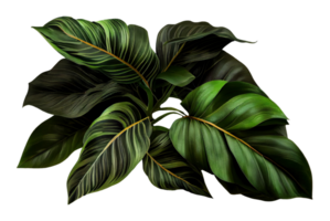 tropical hojas follaje planta arbusto floral arreglo en transparente fondo, creado con generativo ai png