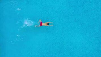 Aerial view of a man in red shorts swimming in the pool video