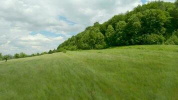fpv Drohne fliegt schnell und wendig entlang ein Grün Wiese umgeben durch Bäume auf ein Sommer- Tag video