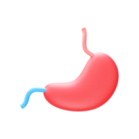 3D Render Of Stomach Element In Blue And Red Color. png