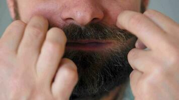 Bearded man chews chewing gum and inflates a bubble out of it. Bad habit concept video