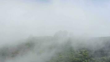 volador encima el nubes terminado el isla de tenerife - un ver de el asentamientos y el teide volcán. canario islas video