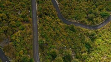 Top view of the surface of the island of Tenerife - car drives on a winding mountain road in a desert arid landscape video