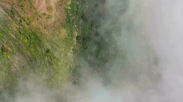 aéreo ver de montaña pendientes cubierto con verde vegetación. canario islas, España video
