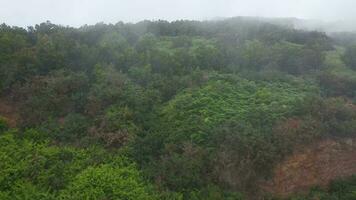 aéreo Visão do montanha declives coberto com verde vegetação video