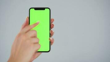 weiblich Hände mit ein Smartphone mit ein Grün Bildschirm auf ein grau Hintergrund Nahansicht. Chroma Schlüssel video