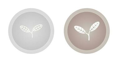 Leaves Vector Icon