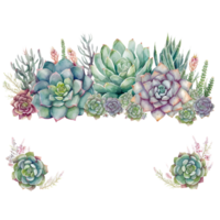 Succulent Plant Border Frame Watercolor Clipart png