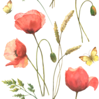 Watercolor pattern with poppies, field herbs and butterflies. Perfect for textiles, wrapping paper png