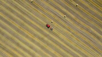 Aerial view of haymaking processed into round bales. Red tractor works in the field video