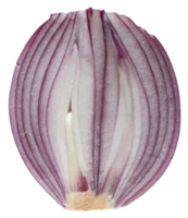 red onion transparent PNG