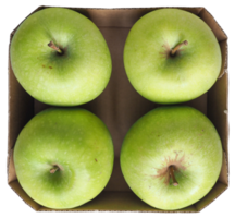 grön äpplen transparent png