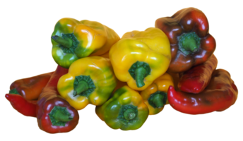 red and yellow pepper transparent PNG