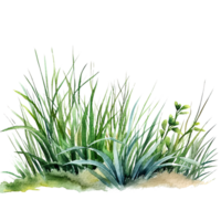 aquarelle vert herbe. illustration ai génératif png