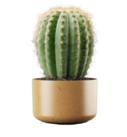cactus isolato. illustrazione ai generativo png