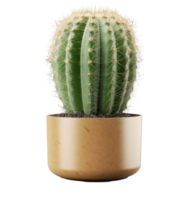 cactus aislado. ilustración ai generativo png