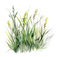 aquarelle vert herbe. illustration ai génératif png