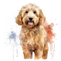 mignonne aquarelle goldendoodle chien. illustration ai génératif png