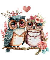 Couple Owl watercolor Sublimation png